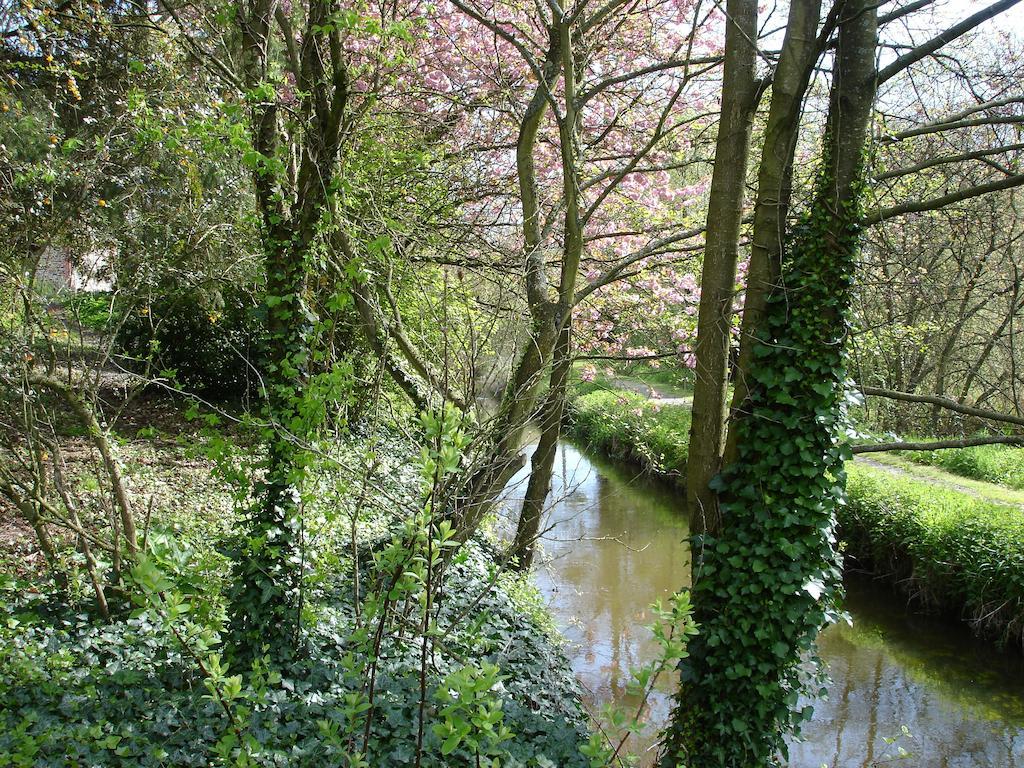 Les Vallees Du Guyoult Dol-de-Bretagne Luaran gambar